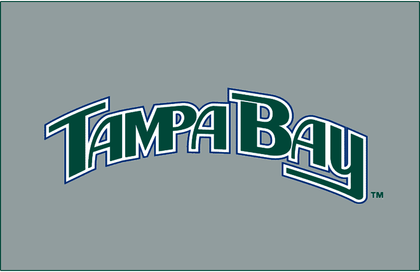Tampa Bay Devil Rays 2005-2007 Jersey Logo iron on heat transfer